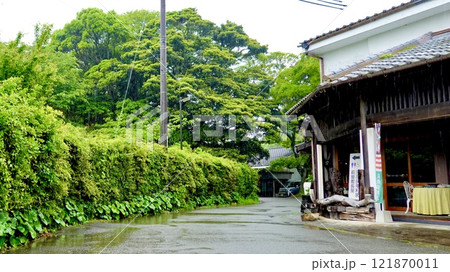 雨の萩市　萩城址の本丸門跡から萩焼資料館側を見た風景　山口県萩市 121870011