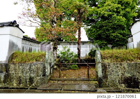 雨の萩市　萩城城下町　第26代首相田中義一生誕地の看板がある菊屋横丁の風景　山口県萩市 121870061