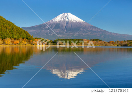 静岡県富士宮市佐折 朝霧高原の田貫湖から望む冠雪した世界遺産富士山と湖面の逆さ富士 静岡県富士宮市佐折 朝霧高原の田貫湖から望む冠雪した世界遺産富士山と湖面の逆さ富士 121870165