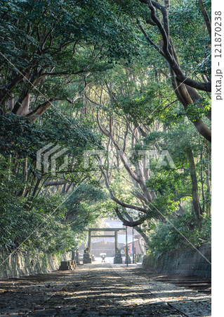 酒列磯前神社の樹叢 121870238