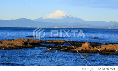 横須賀市の景勝地の立石公園の冬 横須賀市の景勝地の立石公園の冬 121870754
