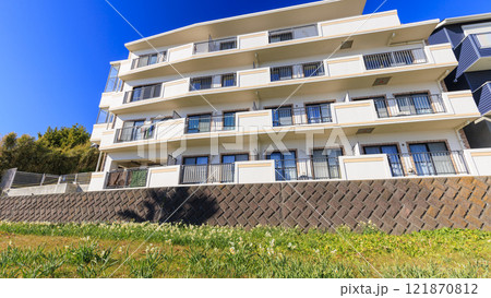 水仙の名所の北下浦スイセンロード 121870812