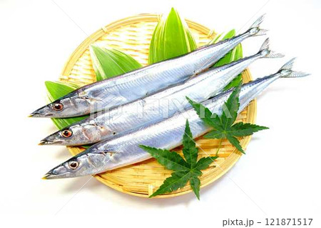 サンマ　秋刀魚　さんま 121871517