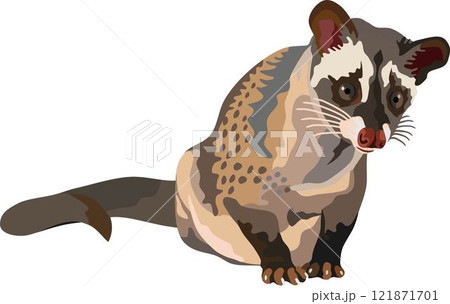 Palm Civet Mammal Animal Palm Civet Mammal Animal 121871701
