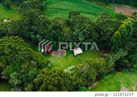 Above view of a rural area with araucaria trees in Santa Catarina, Brazil 121872237