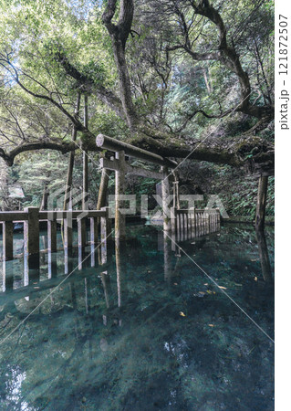 鹿島神宮御手洗池 超広角 121872507