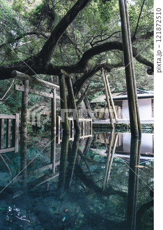 鹿島神宮御手洗池 超広角 鹿島神宮御手洗池 超広角 121872510