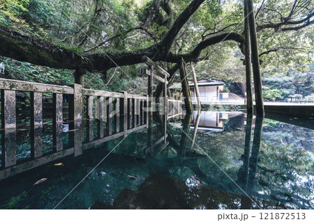 鹿島神宮御手洗池 超広角 121872513