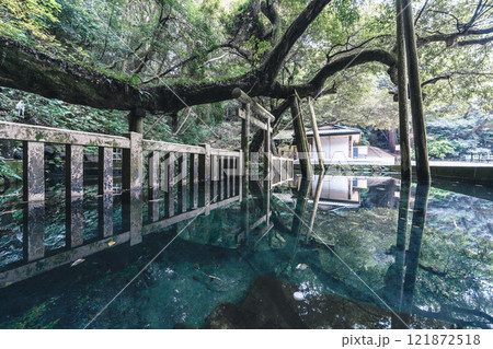 鹿島神宮御手洗池 超広角 121872518