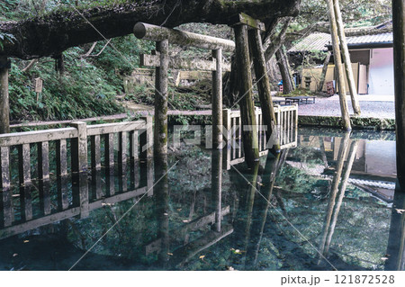 鹿島神宮御手洗池 超広角 鹿島神宮御手洗池 超広角 121872528