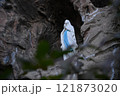 東京カテドラル聖マリア大聖堂　ルルドの洞窟 121873020
