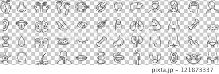 關於單色向量中的解剖學的線條畫圖示集 關於單色向量中的解剖學的線條畫圖示集 121873337