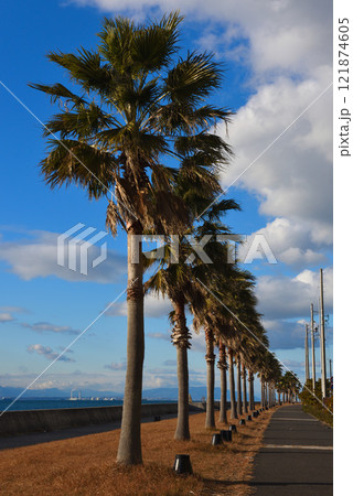 伊勢湾を望むりんくう周回道路 121874605