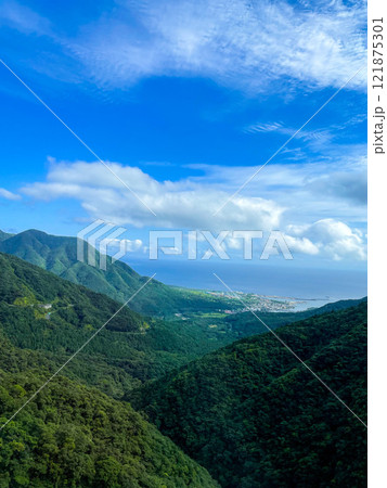 屋久島の白谷雲水峡｜世界遺産の自然といのち溢れる神秘的な森と海の風景【もののけ姫の森と澄み渡る青空】 121875301
