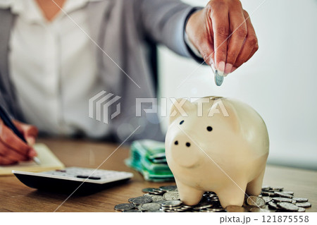 Banking, finance and money in piggybank for savings, investment and budget for business woman. Closeup of hands of an accountant counting coins for insurance, bills and payment in an office at work 121875558