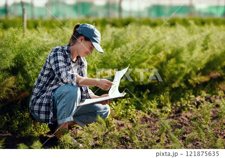 Young female farmer preparing for harvest while working on her farm field ensuring the organic soil is fresh and sustainable outside. Happy worker reading her clipboard notes to check farming land Young female farmer preparing for harvest while working on her farm field ensuring the organic soil is fresh and sustainable outside. Happy worker reading her clipboard notes to check farming land 121875635