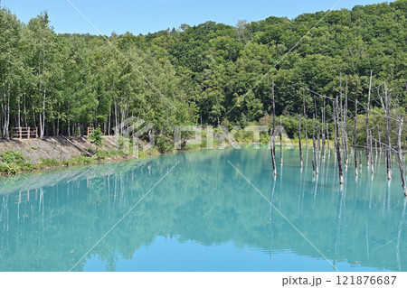 北海道風景 青い池 北海道風景 青い池 121876687