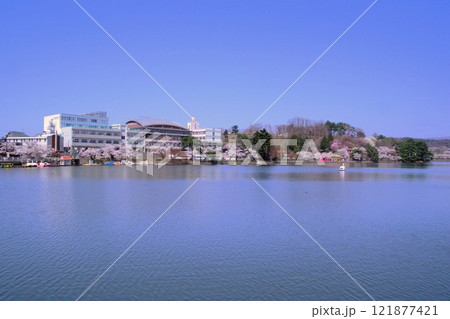 盛岡の風景　春の高松の池　高松公園 121877421