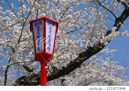 盛岡の風景 さくらまつりのぼんぼり 盛岡の風景 さくらまつりのぼんぼり 121877446