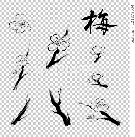 Hand-drawn plum blossoms with ink and calligraphy (PNG without background) 121878034