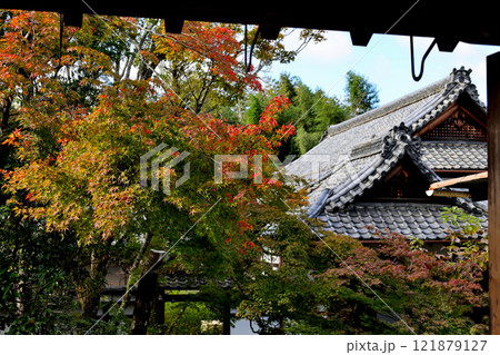 龍光院　塔頭浄土宗大本山　くろ谷　金戒光明寺の塔頭 121879127