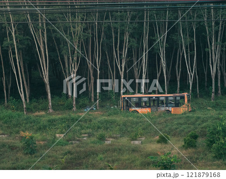 Old orange bus abandoned in a lush, green forested area during the day Old orange bus abandoned in a lush, green forested area during the day 121879168