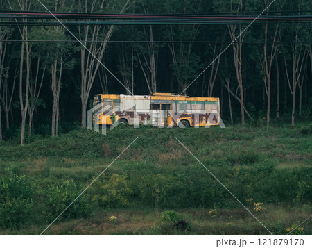 Abandoned yellow bus surrounded by trees in a quiet rural area 121879170
