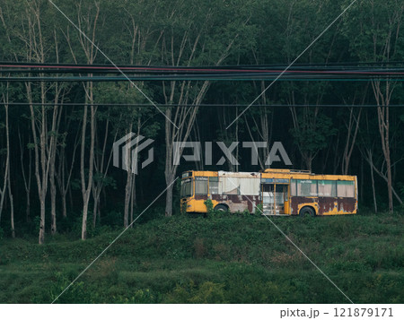 Abandoned bus rests in serene forest setting under twilight sky 121879171