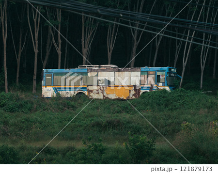 Rusty abandoned bus surrounded by wild vegetation in a remote area Rusty abandoned bus surrounded by wild vegetation in a remote area 121879173