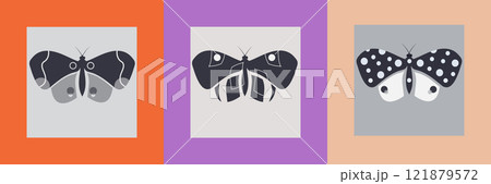 Monochrome butterflies template set. Abstract vector designs for poster, greeting card, print. 121879572