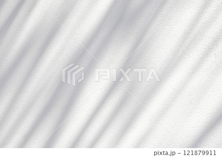 Abstract natural tree leaves shadow on white wall background 121879911