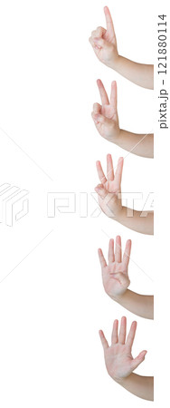 Woman hand gesture show number from one to five isolated on white background 121880114