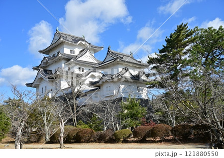 伊賀上野城の模擬天守と小天守閣 121880550