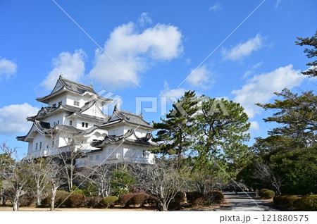 伊賀上野城の模擬天守と小天守閣 伊賀上野城の模擬天守と小天守閣 121880575