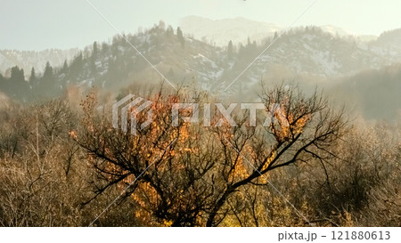 Mountains winter resort 121880613