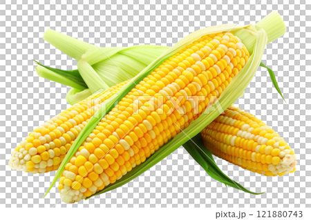 Corn isolated on white background png transparent clipart. 121880743