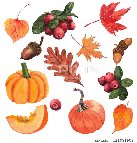 Composition of pumpkin, leaves, acorn and cranberries. Pumpkin, leaves, cranberries, acorn, fall, thanksgiving day, holiday Composition of pumpkin, leaves, acorn and cranberries. Pumpkin, leaves, cranberries, acorn, fall, thanksgiving day, holiday 121881902