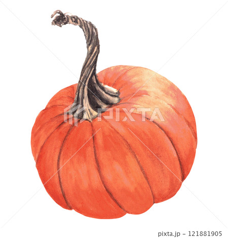 Watercolor hand-drawing pumpkin. Fall composition, pumpkin. Fall, autumn, thanksgiving, holiday 121881905
