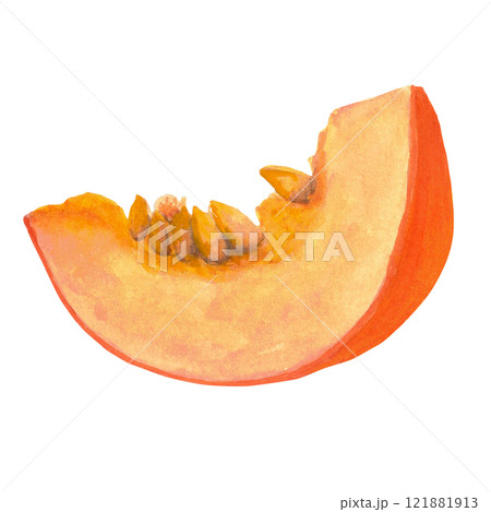 Watercolor hand-drawing slice of pumpkin. Fall composition, slice of pumpkin. Fall, autumn, thanksgiving, holiday 121881913