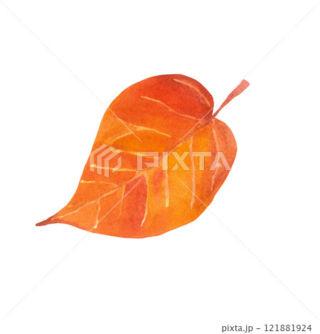 Watercolor hand-drawing leaf. Fall leaf. Fall, autumn, thanksgiving, holiday Watercolor hand-drawing leaf. Fall leaf. Fall, autumn, thanksgiving, holiday 121881924