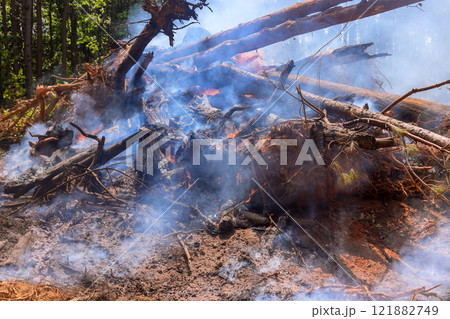 Flames consume fallen timber while smoke billows into air in forest during wildfire of fire ecological fallen 121882749