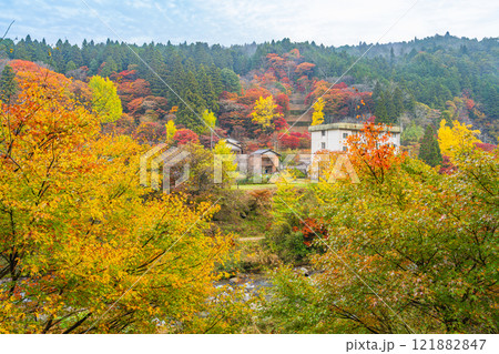 豊田市の大井平公園の展望台から見た紅葉の風景(愛知県) 豊田市の大井平公園の展望台から見た紅葉の風景(愛知県) 121882847