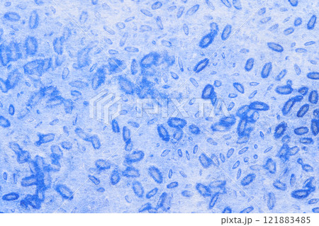 Microscopic view of blue bacterial cells with irregular shapes and distribution 121883485