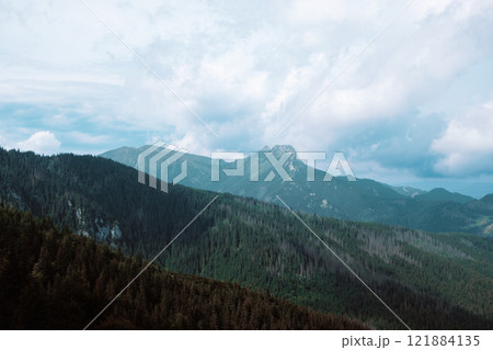 Panorama of beautiful countryside of Poland. Sunny afternoon. Wonderful springtime landscape in mountains. Grassy field and rolling hills. rural scenery Panorama of beautiful countryside of Poland. Sunny afternoon. Wonderful springtime landscape in mountains. Grassy field and rolling hills. rural scenery 121884135