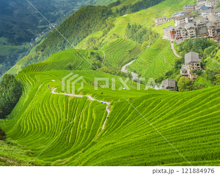 Terraced rice fields around Longji village, Longsheng county, Guilin, Guangxi, China Terraced rice fields around Longji village, Longsheng county, Guilin, Guangxi, China 121884976