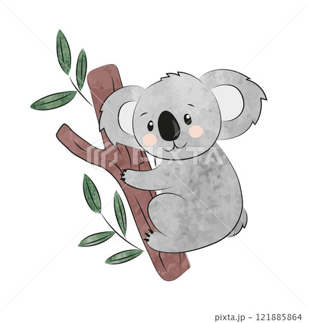 Cute cartoon koala isolated on white. Vector watercolor illustration Cute cartoon koala isolated on white. Vector watercolor illustration 121885864