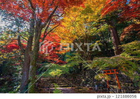 【聖宝寺 三重県】紅葉シーズン 回遊式庭園 121886056
