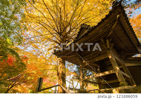 聖宝寺　鐘楼 　いちょうの木　鳴谷山聖宝寺　紅葉の名所　いなべ市　三重県 121886059