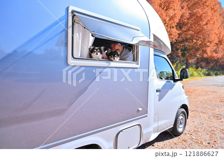 愛犬とキャンピングカー旅行　ロングコートチワワ　紅葉が綺麗なメタセコイア 121886627