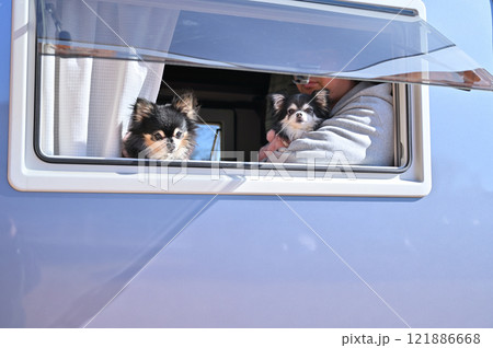 愛犬とキャンピングカー旅行をする男性　ロングコートチワワ　 121886668